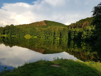 Scenic view of lake and trees against sky