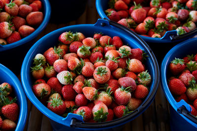 Fresh ripe strawberry in the bowl