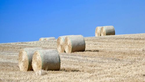 Hay bales on field against clear blue sky
