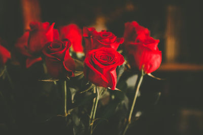 Close-up of rose bouquet