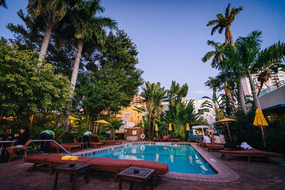 Palm trees by swimming pool against sky