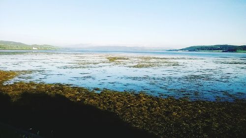 Scenic view of sea against clear sky