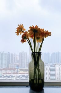 Close-up of flower vase against cityscape