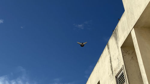 Low angle view of airplane flying in sky