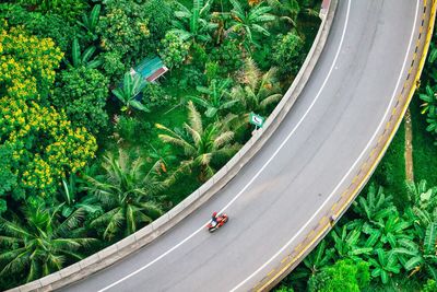 High angle view of bridge amidst trees