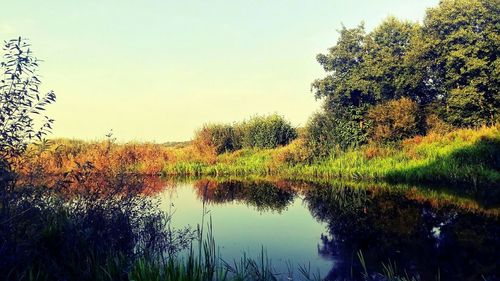 Scenic view of lake against clear sky