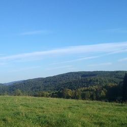 Scenic view of field against blue sky