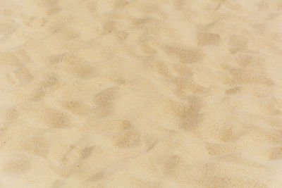 Full frame shot of paper on sand