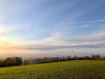 Scenic view of field against sky during sunset