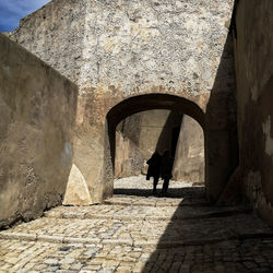 Rear view of woman on wall