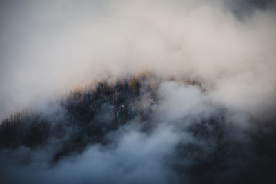 Fog an mist over mountain and forest against sky