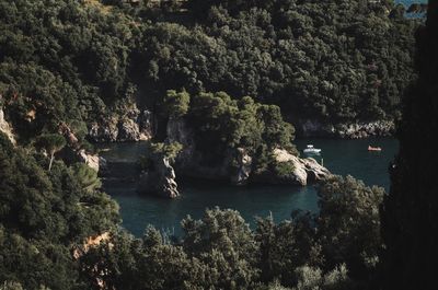 High angle view of trees by sea