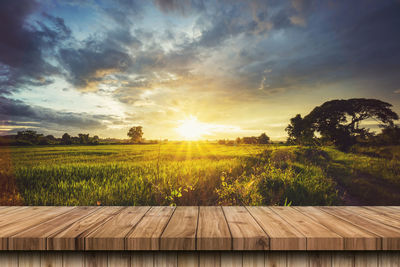 Scenic view of field against sky during sunset