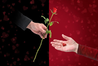 Close-up of hand holding red rose