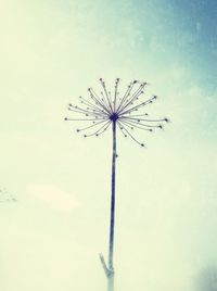 Low angle view of ferris wheel against sky