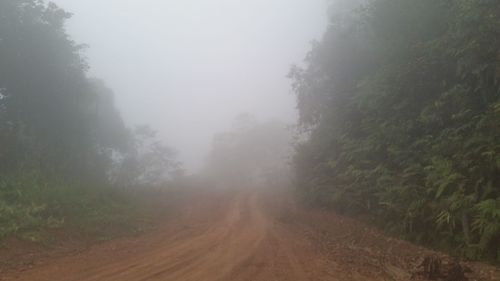 View of trees on landscape against sky during foggy weather