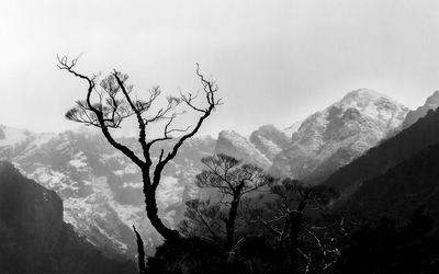 Scenic view of tree mountains against sky