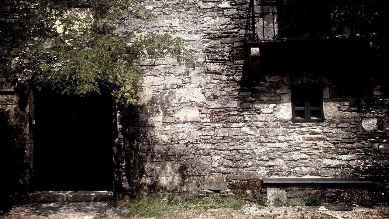 architecture, built structure, building exterior, old, house, stone wall, window, abandoned, tree, wall - building feature, brick wall, weathered, damaged, obsolete, wall, growth, run-down, day, no people, outdoors