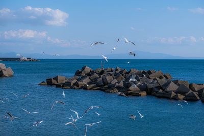 Scenic view of sea against sky