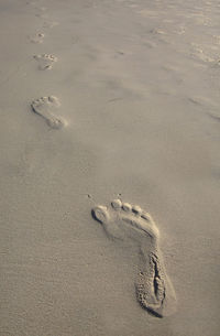 High angle view of footprints on sand at beach