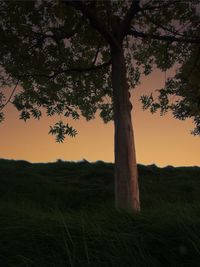 Silhouette tree on field against sky at sunset