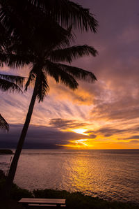 Silhouette palm tree on beach against sky at sunset
