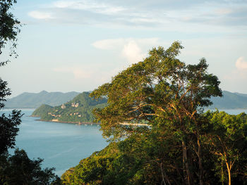 Scenic view of tree mountains against sky