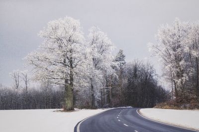 Road amidst trees against sky during winter