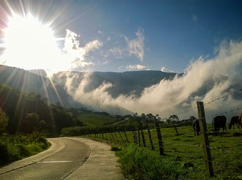 Panoramic view of agricultural field against sky