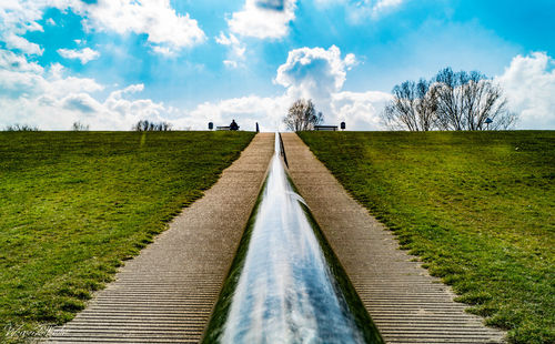 Narrow pathway along trees on field