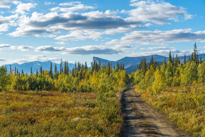 Wild, beautiful arctic landscape of northern sweden. skierfe mountain and rapa river valley