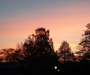 Low angle view of silhouette trees against sky at sunset