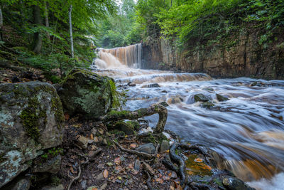 Scenic view of waterfall in forest