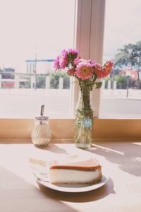 Potted plant on window sill