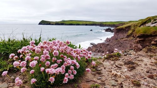 Scenic view of beach by sea against sky