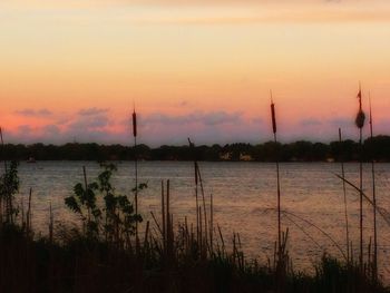 Scenic view of sea at sunset