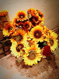Close-up of yellow flowers