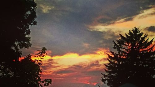 Low angle view of silhouette trees against sky during sunset