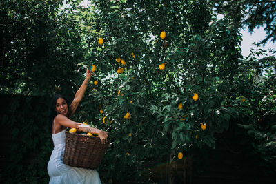 Young woman with fruits in basket on tree