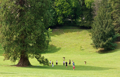 Group of people playing on grassland