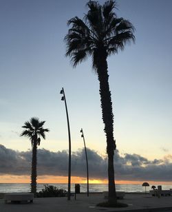 Silhouette palm trees against sky during sunset