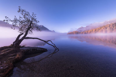 Scenic view of lake against blue sky