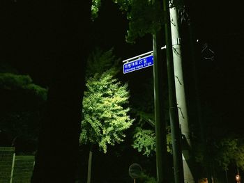 Close-up of road sign against trees at night