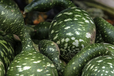 Full frame shot of fruits