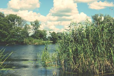 Scenic view of lake against cloudy sky