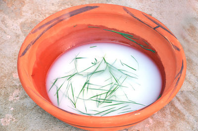 High angle view of potted plant