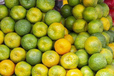 Fresh piles of mandarins