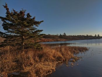 Scenic view of lake against clear blue sky