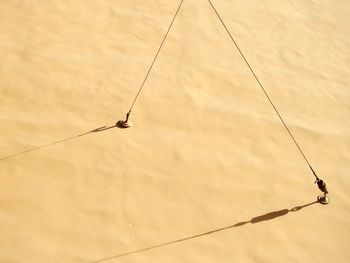 Close-up low angle view of wind outdoors