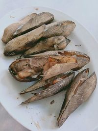 High angle view of fish in plate